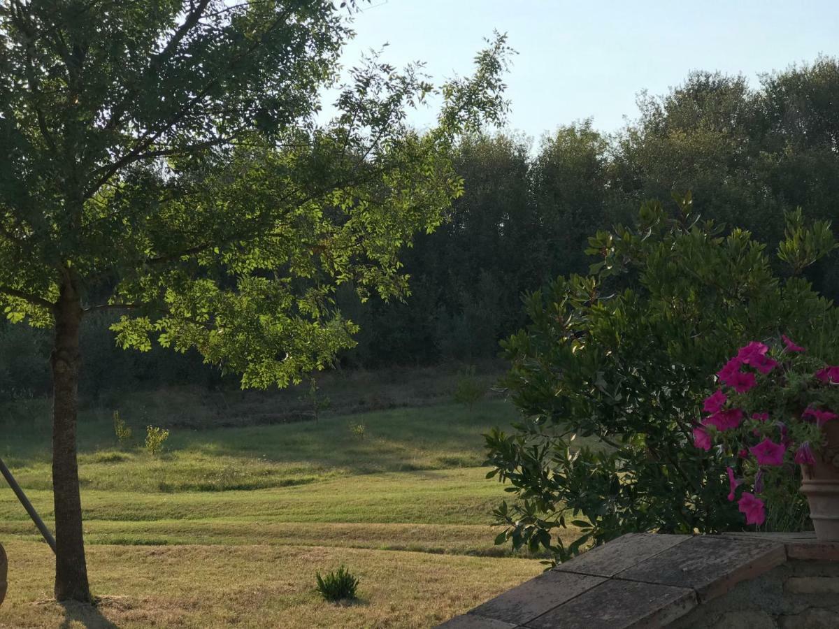 Agriturismo Casallario 볼테라 외부 사진